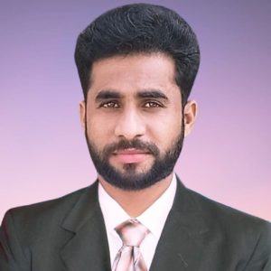 Content Writer - TheWallet Author